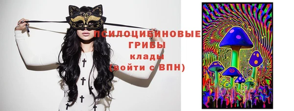 ПСИЛОЦИБИНОВЫЕ ГРИБЫ Няндома